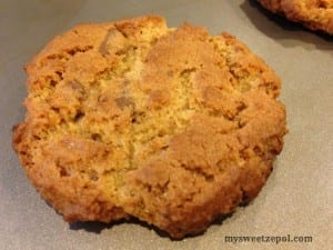 Peanut-Butter-and-Toffee-Cookies-my-sweet-zepol