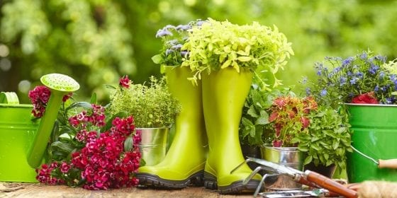 gardening tools, watering can, green rain boots, plants and flowers, small rake