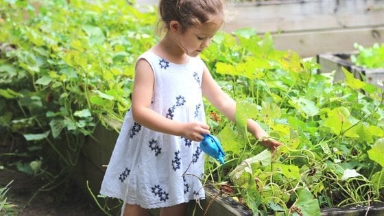 gardening with kids, kid watering plants, watering can