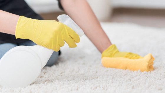 How to Clean Your Home Carpet / Tips for Carpet Cleaning / My Sweet Zepol / home and garden blog